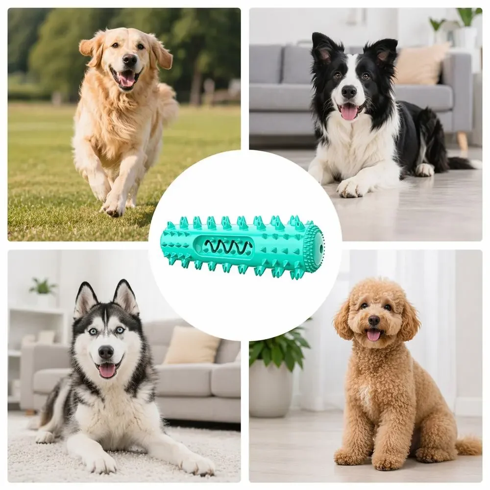 Squeaky chew stick dog toothbrush for dogs medium & Large toy TPR durable
